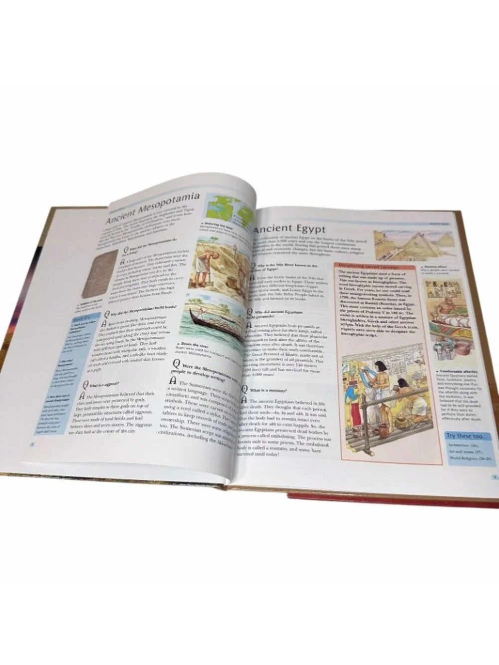 Arcturus Questions & Answers Lot 5 Hardcover Books Science History Animals Kids